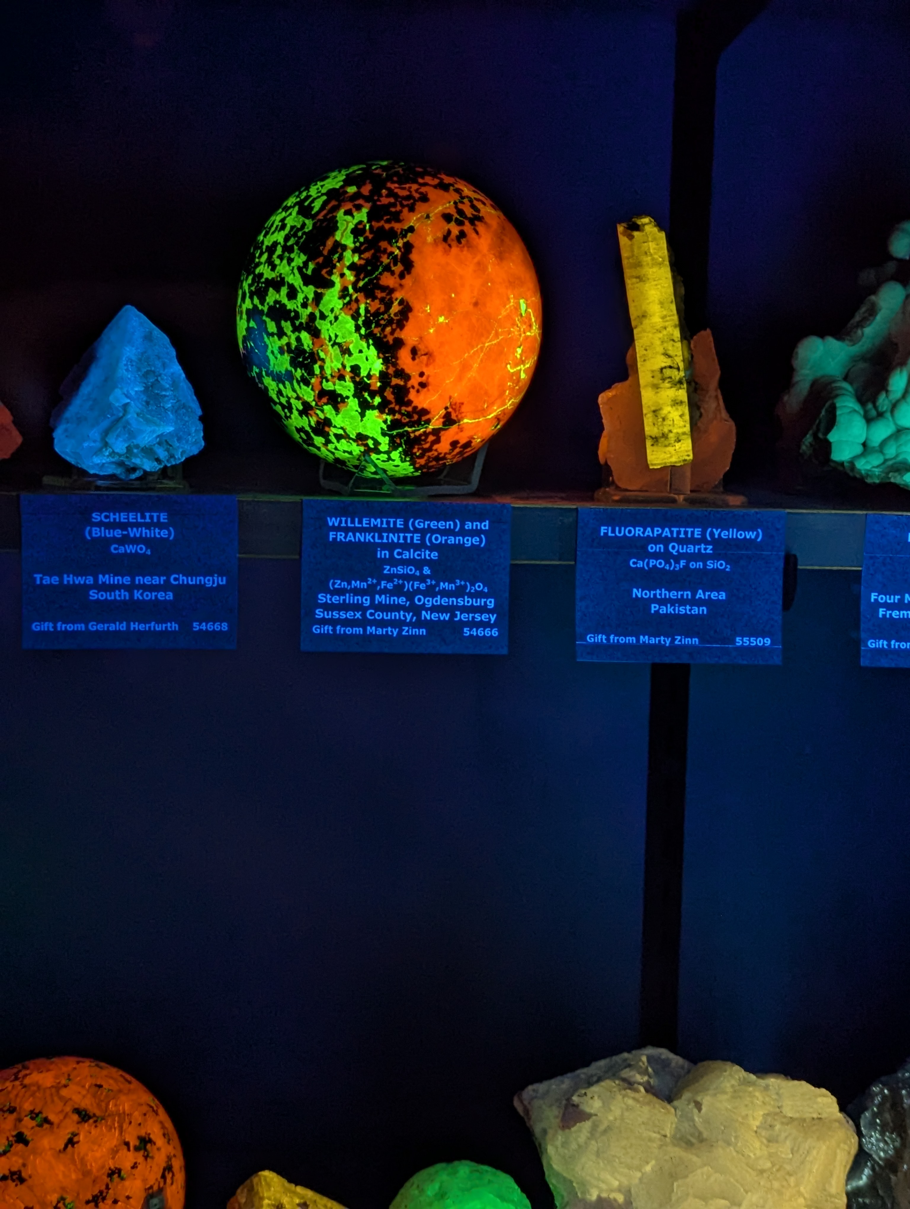 Colorado School of Mines, Geology Museum